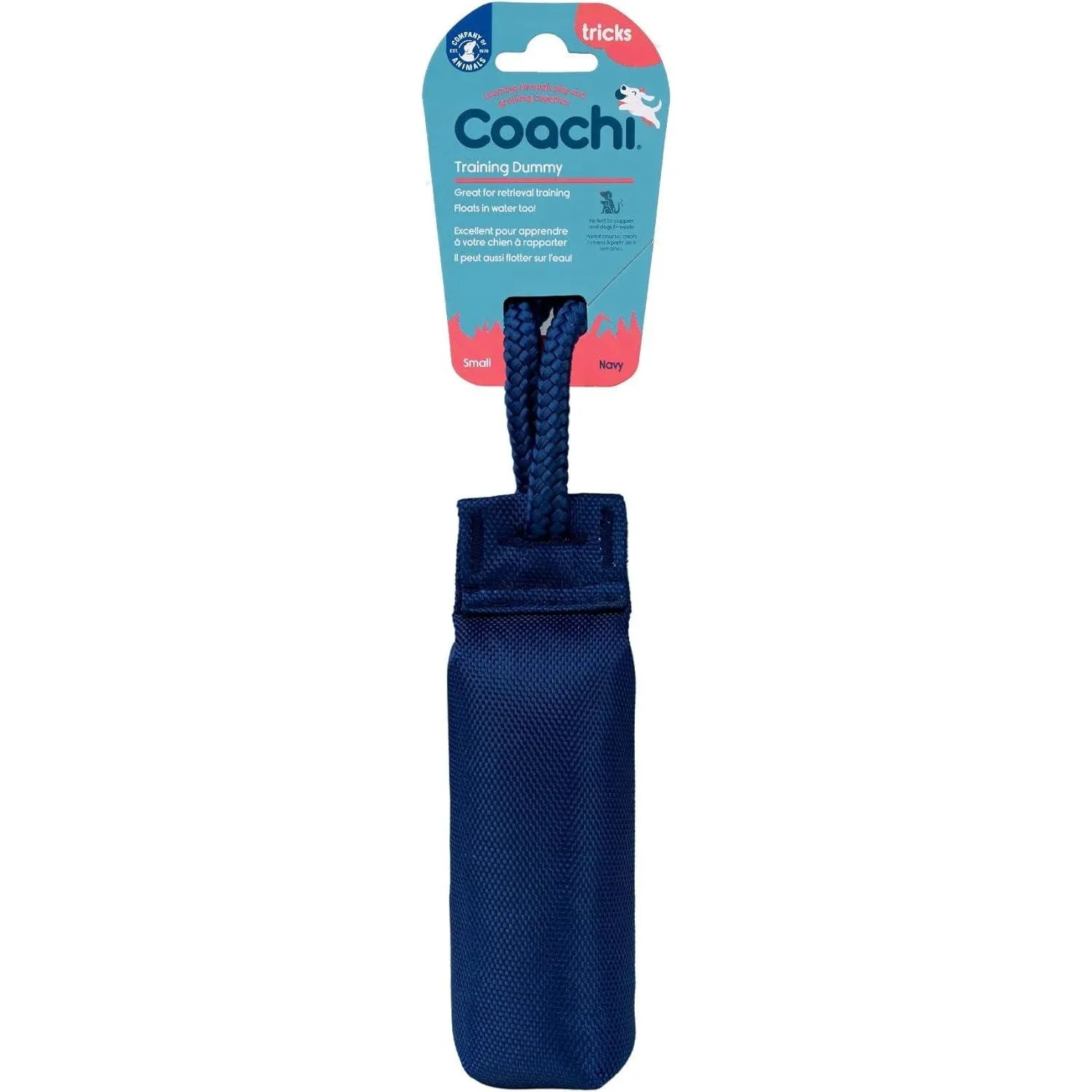 Coachi Training Dummy