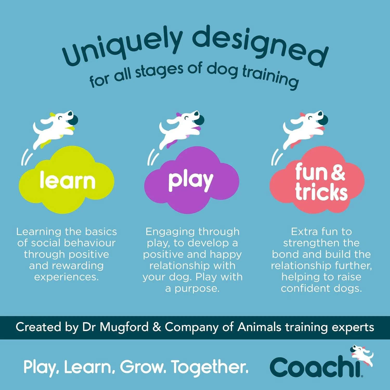 Coachi Training Dummy