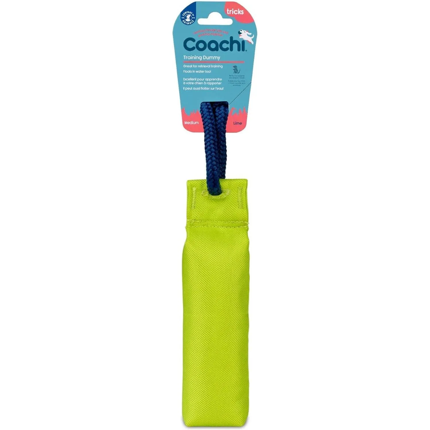 Coachi Training Dummy