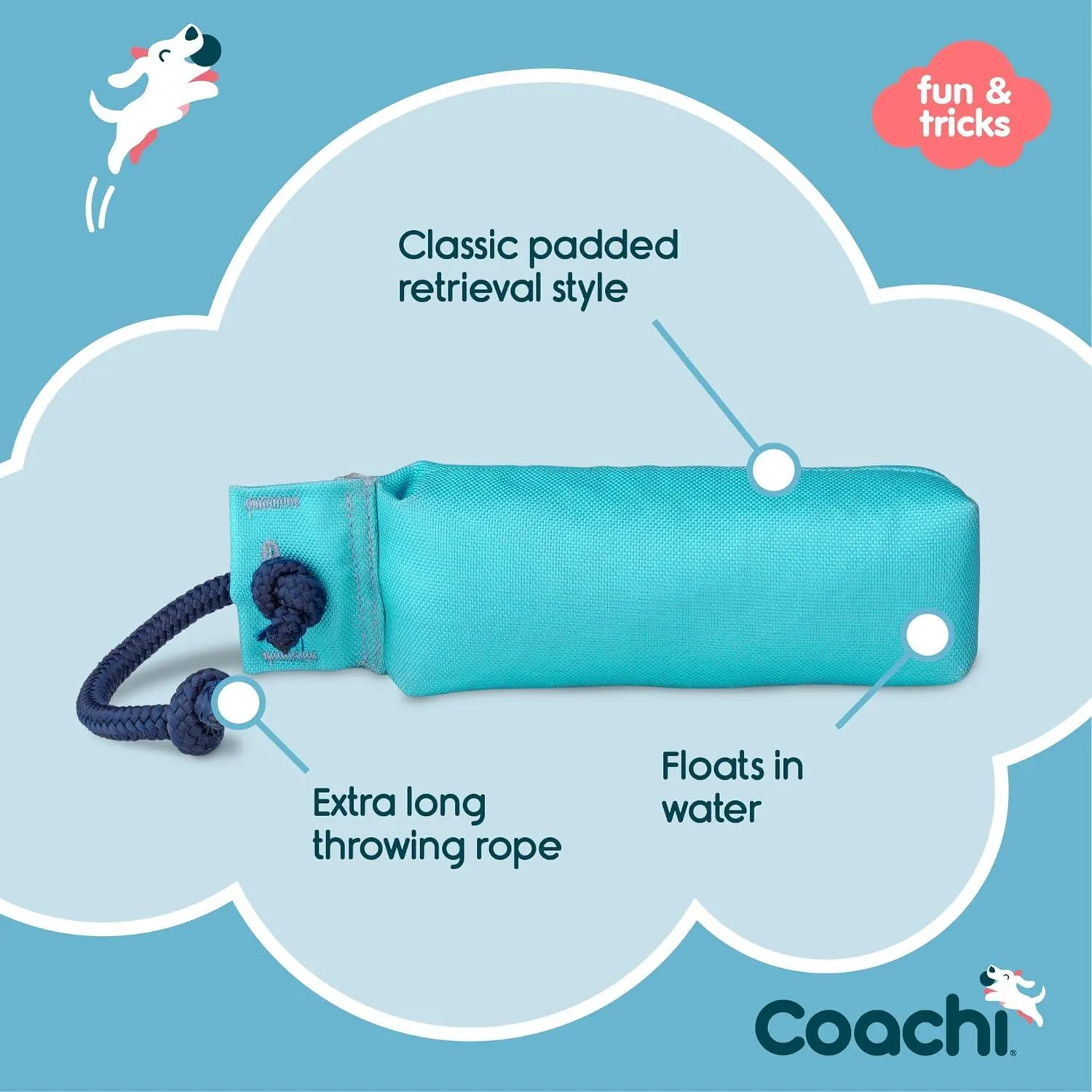 Coachi Training Dummy