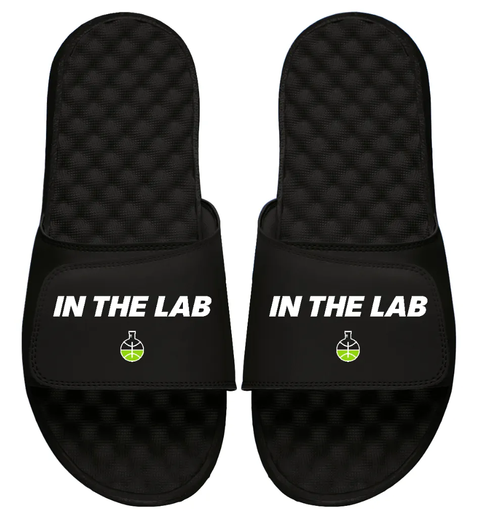 In the Lab Primary Slides