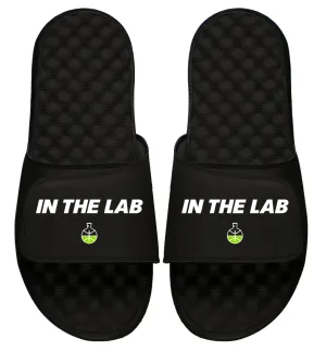 In the Lab Primary Slides