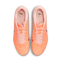 Nike Tiempo Legend 10 Academy FG/MG