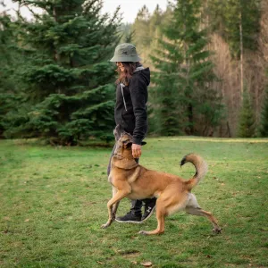 Pet Dog Training 6-Pack