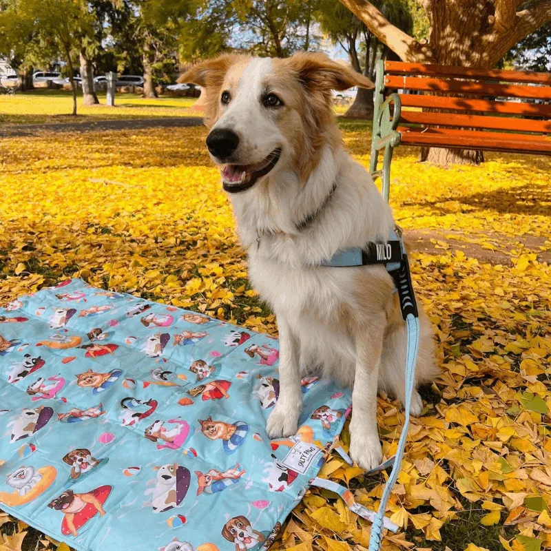 Pool Party - Settle Mat for Travel & Training