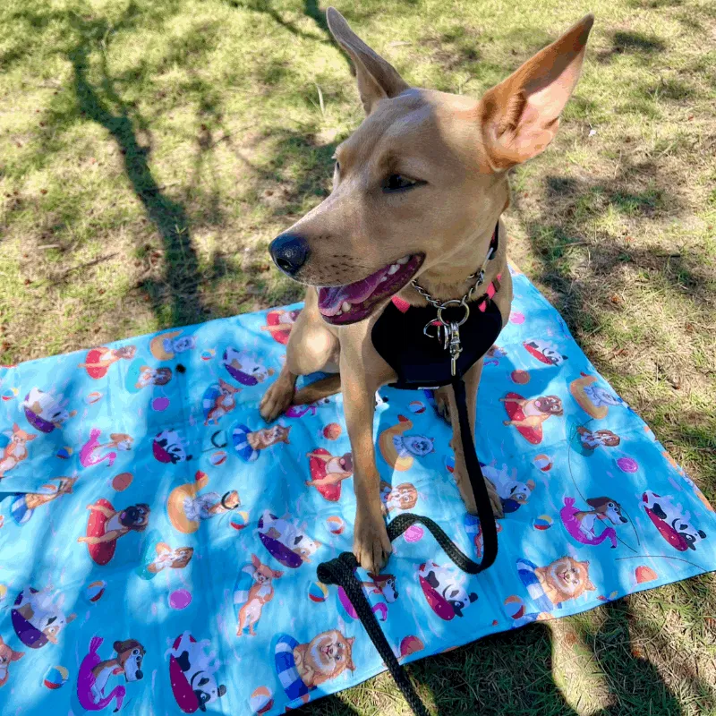 Pool Party - Settle Mat for Travel & Training