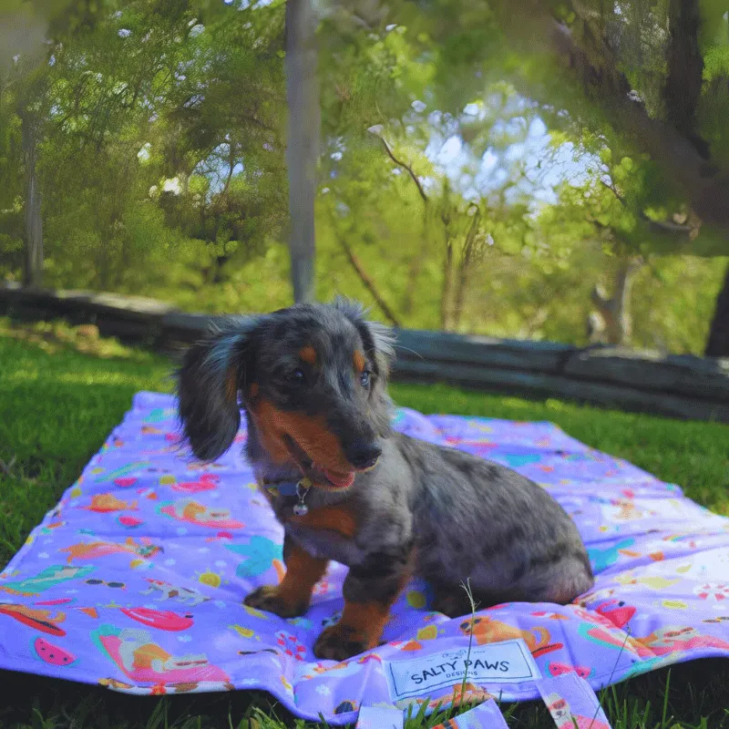 Summer Days - Settle Mat for Travel & Training