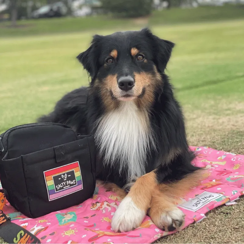 Summer Days - Settle Mat for Travel & Training