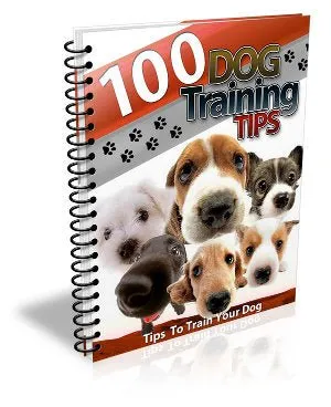 Unlock Your Dog's Potential: 100 Essential Dog Training Tips for Success!